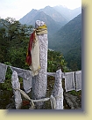Sikkim-Mar2011 (162) * 2736 x 3648 * (4.73MB)